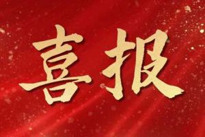 雀跃欢呼 | 开云手机登录入口（中国）官方网站集团荣膺佬麻雀“最佳战略合作伙伴”