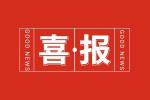 喜报！开云手机登录入口（中国）官方网站集团党支部书记、总裁陈文舒荣登“2024人力资源服